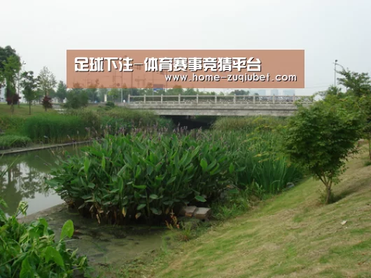 案例展示四(图1)