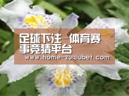 产品名称二