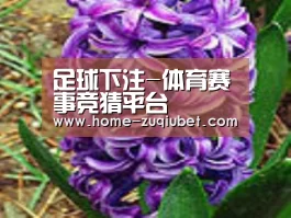 产品名称八
