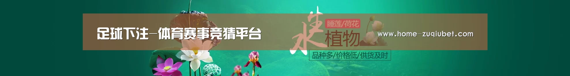 鲜花水草花卉网站模板