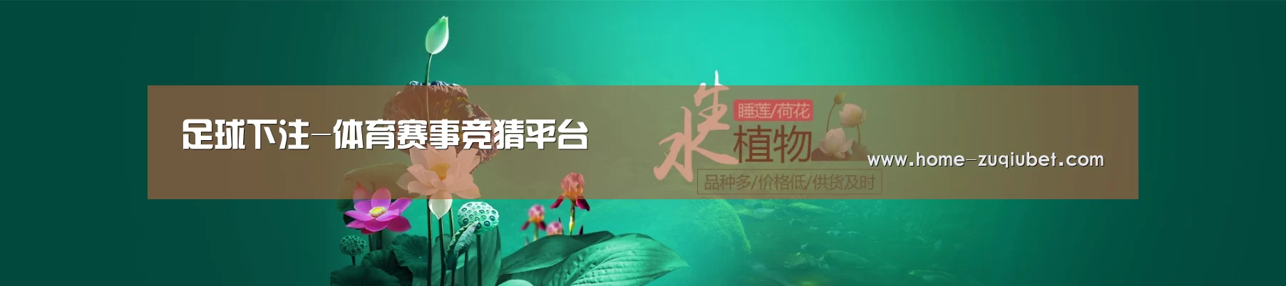 鲜花水草花卉网站模板