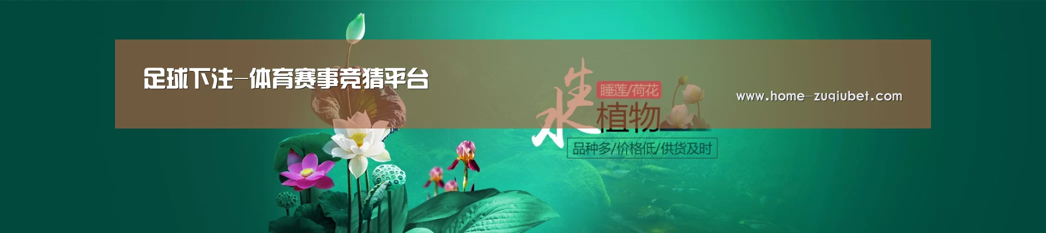 鲜花水草花卉网站模板