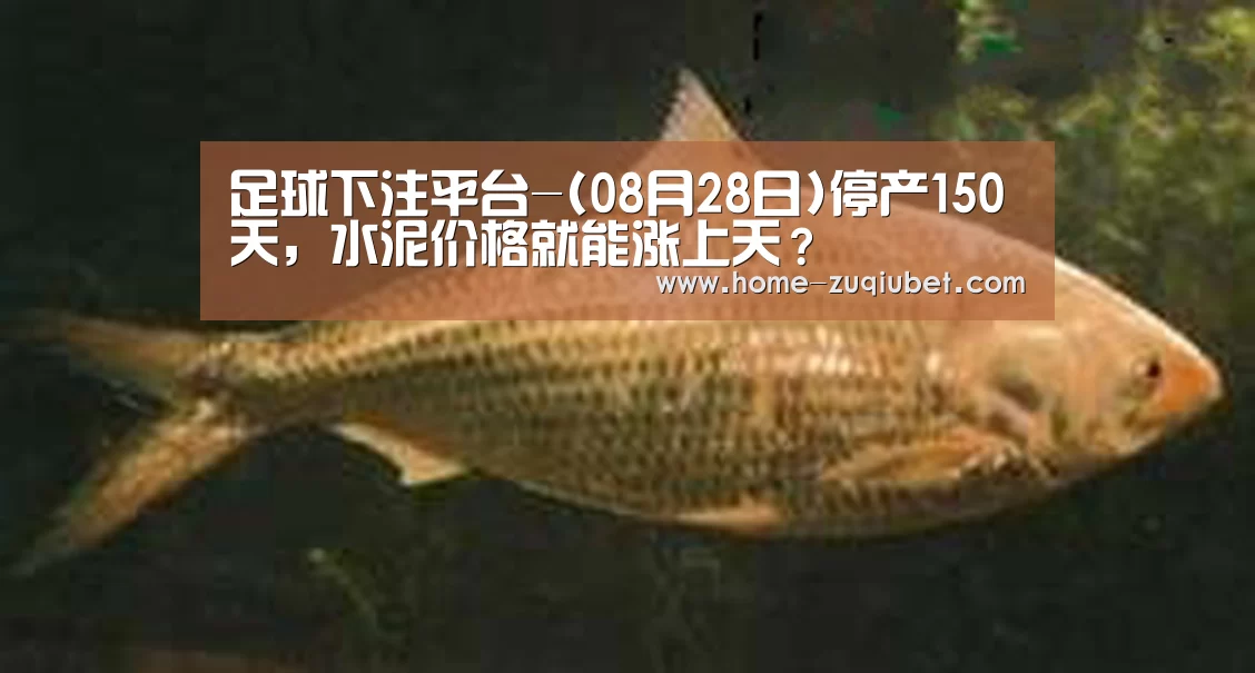 足球下注